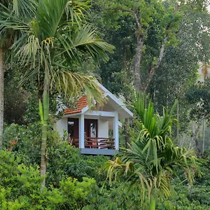 Dhanagiri Wayanad , Vythiri India
